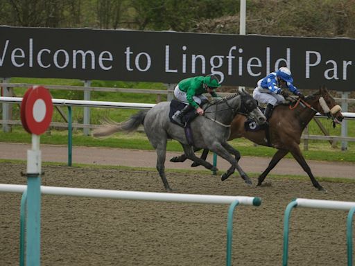 Horse racing tips today: You Got To Me and Madame De Sevigne can deliver at Lingfield