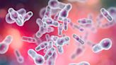 Vedanta Biosciences doses first subject in Phase III C difficile prevention trial