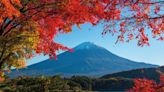 You can save £200 on tours around awe-inspiring countries including Japan
