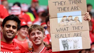 Social media cats react to Euros Three Lions jibe