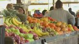 Families and foodies flock to Kirkwood Farmers’ Market for season-opening celebration