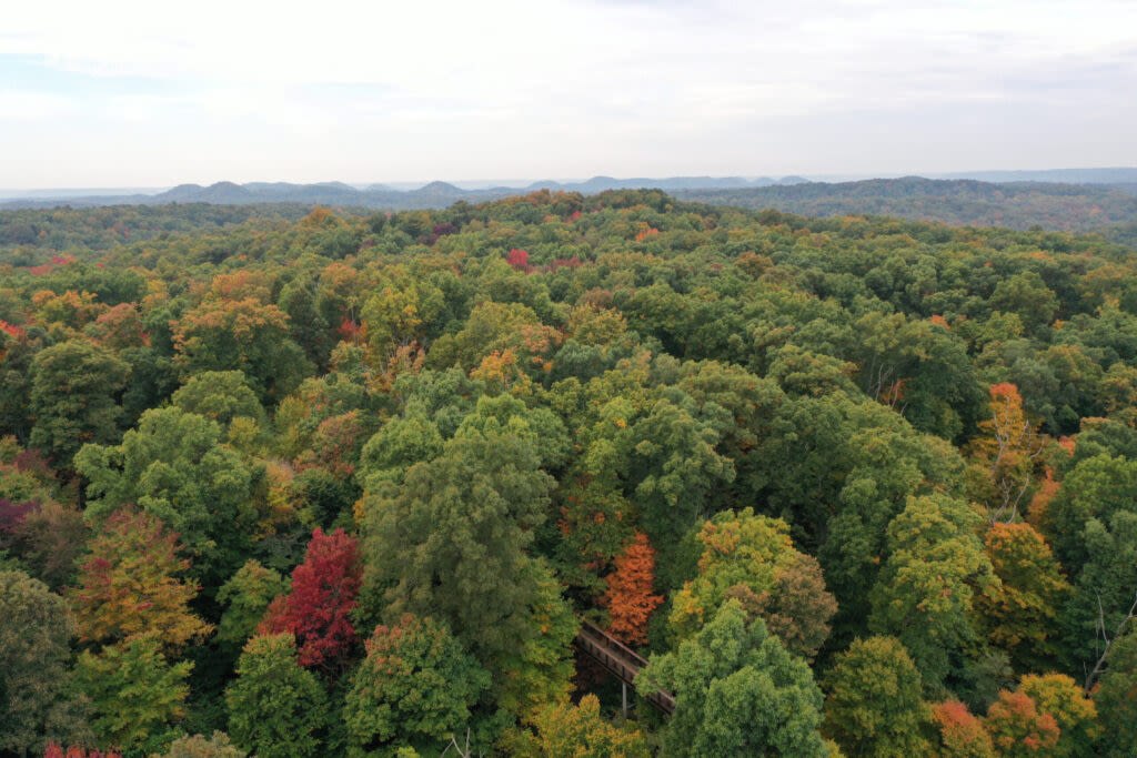 Bernheim Forest appeals to Kentucky Supreme Court to stop pipeline in conservation easement