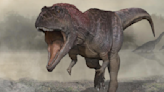 New Dino Alert! This Tiny-Armed, Large-Headed Beast Is Strikingly Similar to T. Rex