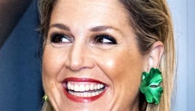 Máxima de los Países Bajos y el rey Guillermo tienen un proyecto con Letizia Ortiz y el rey Felipe: qué harán