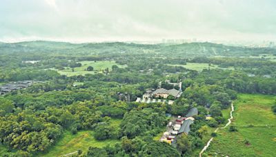 Aarey: A green that’s fading