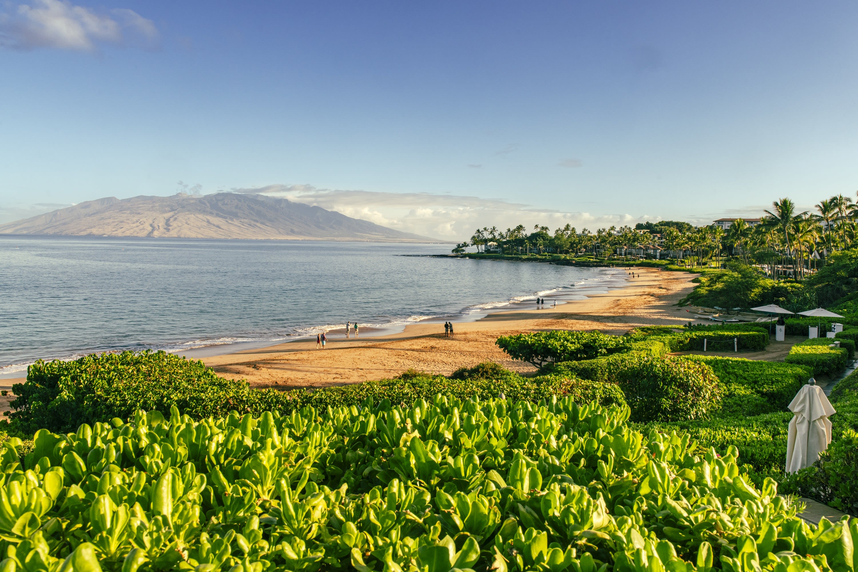 One Year After Maui's Wildfires, Meet the Locals Ensuring Travel Helps the Island Heal