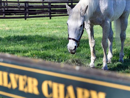 A life of leisure for Derby winner Silver Charm, alcohol and your health, and the USDA is testing beef for bird flu