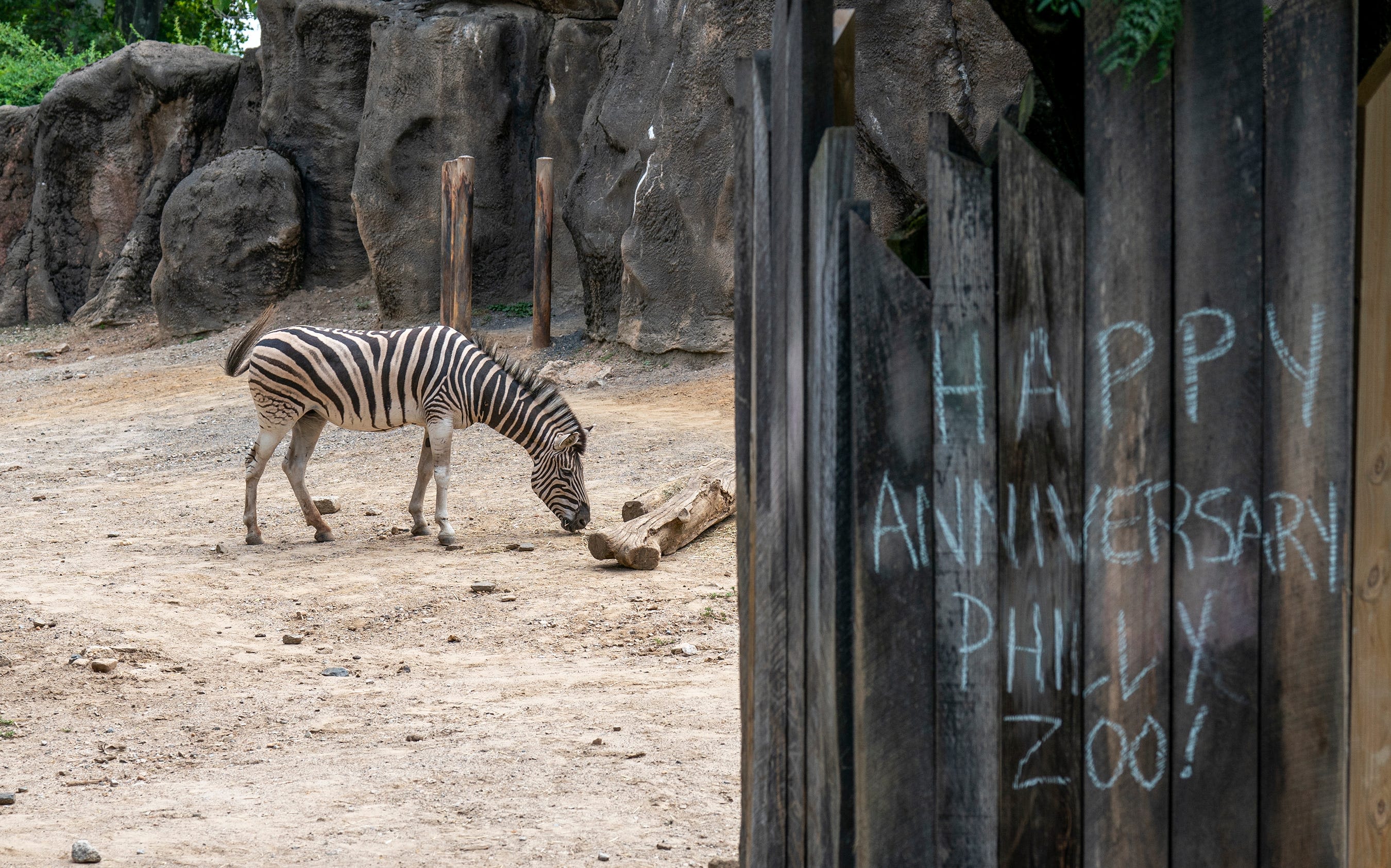 Oldest zoo in the US finds new ways to flourish. See how it is making its mark.