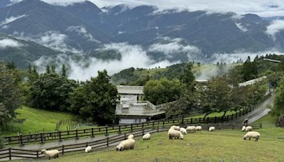 退輔會農場開放設置光電板 恐破壞山林美景