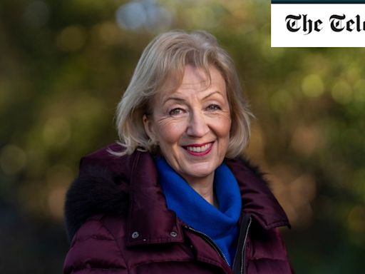 Andrea Leadsom ‘asked about ousting PM’ days before quitting politics