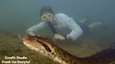 New anaconda species may be ‘largest ever’