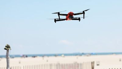 Angry Birds Attack Drones Used To Monitor Ocean For Sharks And Struggling Swimmers