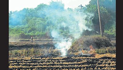 Punjab: As field fires rage in Amritsar, ₹52k-fine slapped on farmers