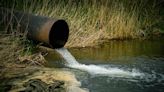 River pollution is causing harmful outbreaks of sewage fungus in the UK