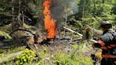 Helicopter pilot survives fiery crash in Danbury, N.H.