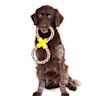 Durable toys designed for interactive play between dogs and their owners. Often made with sturdy materials for a good grip.