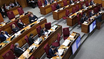 La Nación / Senado modificó proyecto de ley del agente penitenciario, que vuelve a Diputados