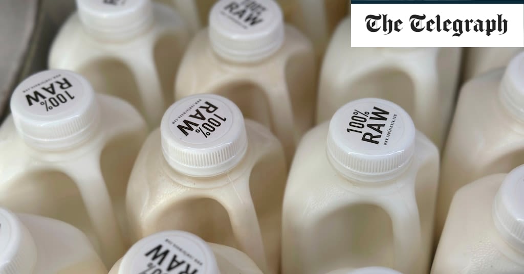 California’s ‘wellness’ devotees think raw milk infected with bird flu will ‘boost immunity’