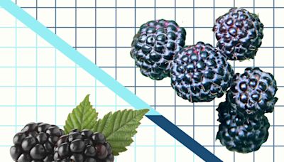 Black Raspberries vs. Blackberries: The Difference Between These Summer Fruits