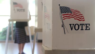 11Alive voter guide for Georgia May 21 primaries | Races for Congress, state legislature, local offices