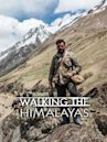 Walking the Himalayas