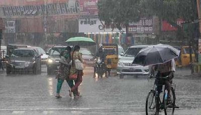 Tamil Nadu Weather Update: Heavy Rains Batter 11 Districts, Avalanche Tops With 20 CM