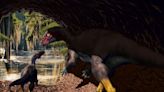 Scientists Discover Unusual New Dinosaur Species That Lived Underground