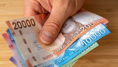 ¿Bonos pendientes de pago? Revisa con tu RUT si tienes dinero por cobrar - La Tercera