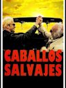 Caballos salvajes