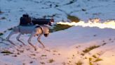 What Could Go Wrong? Company Selling Robot Dog With Attached Flamethrower