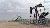 Democrats Warn US Trade Bank on Backing Bahrain Oil Drilling