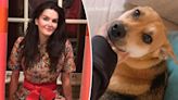 Angie Harmon sues Instacart and driver she claims fatally shot her dog