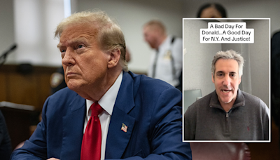 Michael Cohen TikTok videos, fundraising stun legal observers: May have 'torpedoed case against Trump'