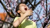 The Pollen Bomb Cometh: Why Your Hay Fever Is Hitting Earlier Than Ever