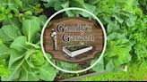 "Gandy's Garden" has been growing for the last ten years and it's namesake talks about it's beginning