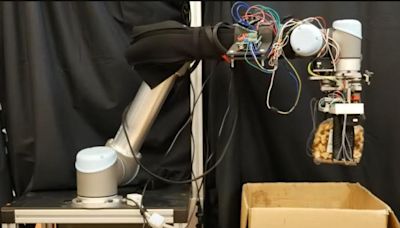 Ce robot est capable d'attraper des chips sans les écraser, une prouesse