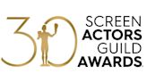 30th Annual Screen Actors Guild Awards Streaming: Watch & Stream Online via Netflix