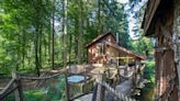 The forest lodge holiday park with a hot tub at every cabin that's 'better than Center Parcs'