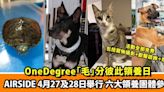 OneDegree舉辦全港首個大型跨動物品種、跨領養機構大型領養活動 4月27及28日去Airside搵新家人 兼帶毛孩一齊玩免費活動！