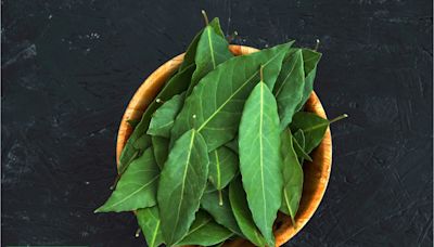 Receta de las abuelas para hacer insecticida casero con hojas de laurel