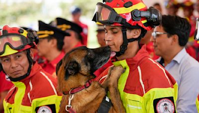 Perros bombero que ayudaron a sobrevivientes de catástrofes, homenajeados en su retirada en Ecuador