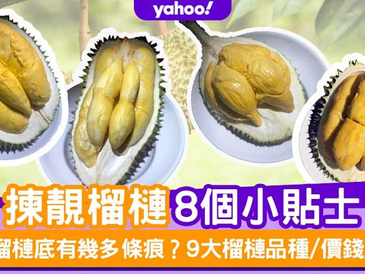 榴槤品種｜9大馬來西亞榴槤季節/品種/價錢！專家教8個揀榴槤貼士