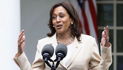 You think this Kamala Harris meme fell out of a coconut tree? How the VP became the pop girlie of the summer