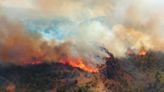 El Gobierno de Chubut sospecha de la intencionalidad del incendio forestal en el parque Los Alerces