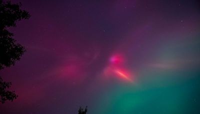 GALLERY: Northern Lights across Middle TN