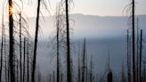 Fighting every wildfire ensures the big fires are more extreme, and may harm forests’ ability to adapt to climate change