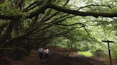 This Ancient Pilgrimage Route in Rural England Passes Charming Villages, Wild Natural Landscapes, and a 14th-Century Pub