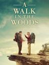 A Walk in the Woods (film)