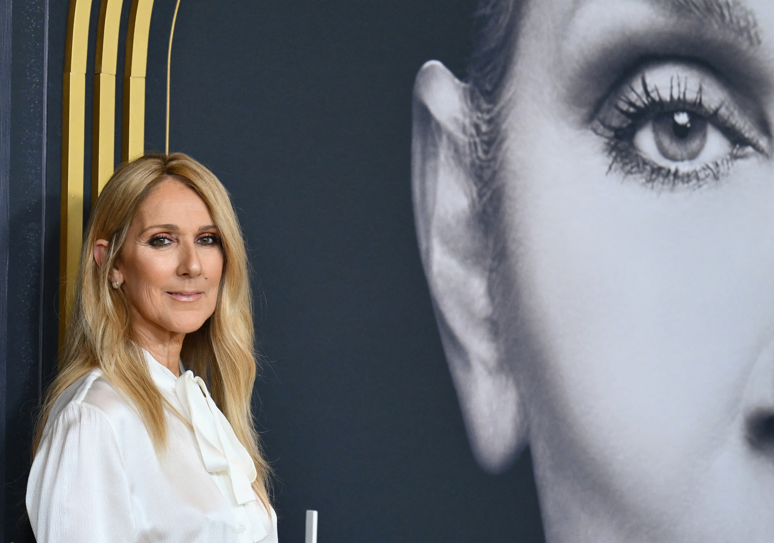 Celine Dion has viewers in tears with "distressing" show scenes