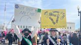 Robots, suffragettes and pro-choice Catholics: Meet the mifepristone ban protesters outside the Supreme Court